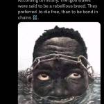 isibor felix Isibor Profile Picture