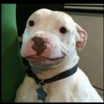 Zainab Aliyu Profile Picture