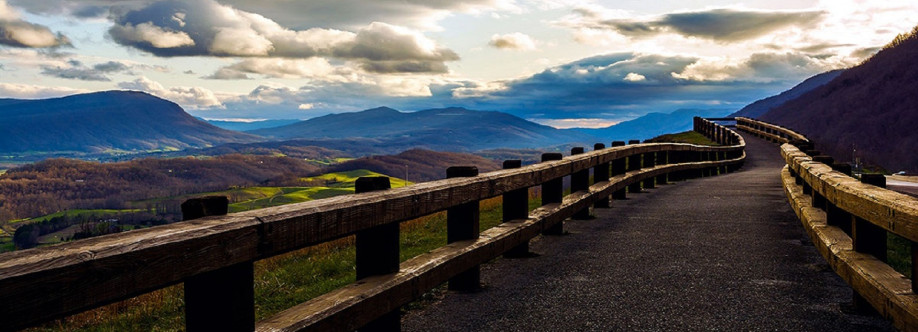 Hopkins Medical Association NORTON VA Cover Image